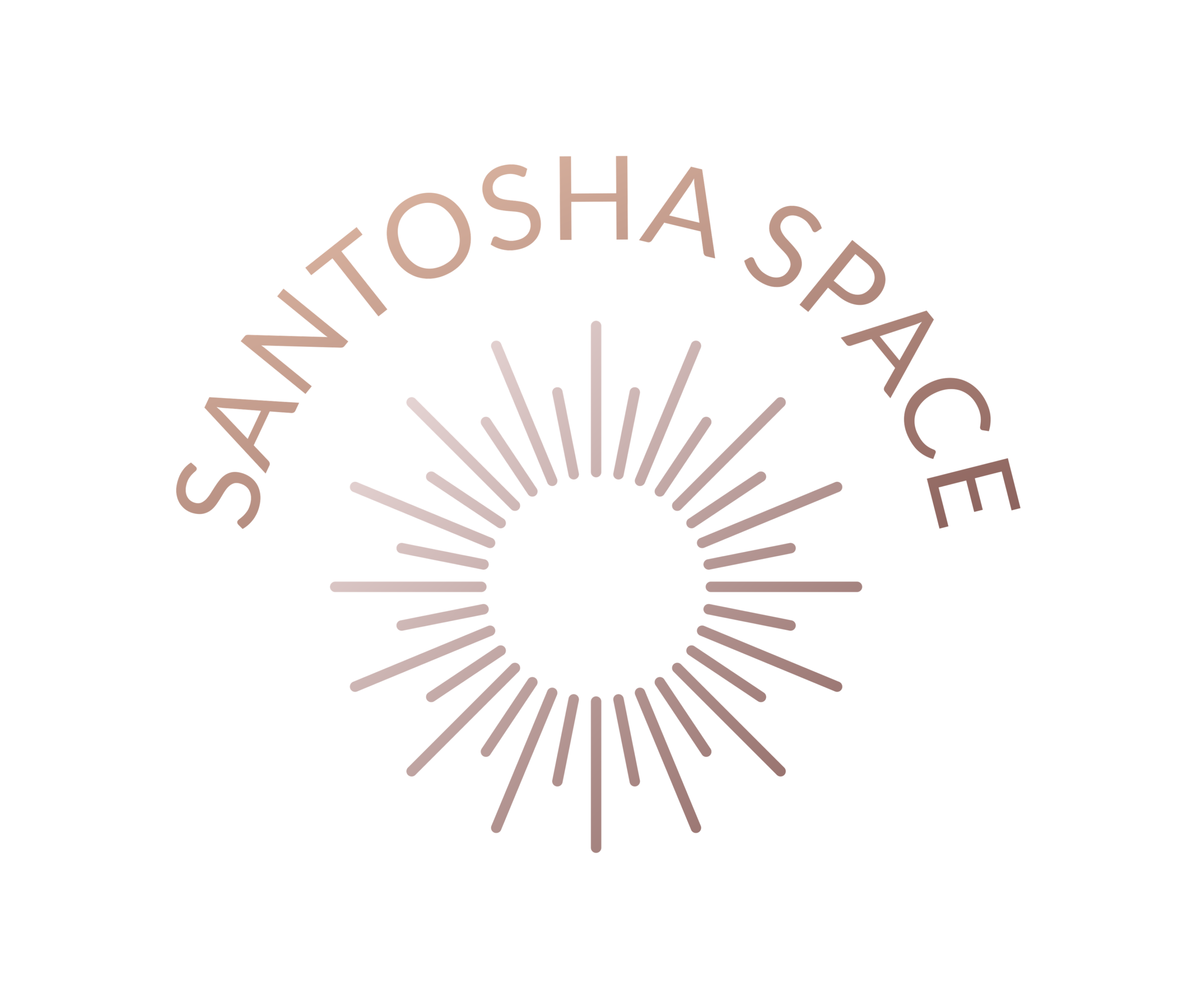 santoshaspace.de